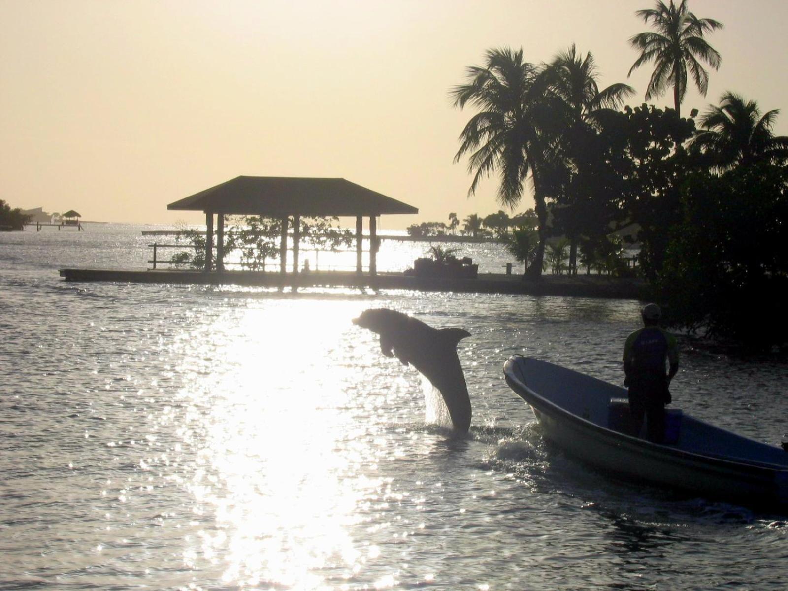 Acqua Di Mare Resort 西湾 外观 照片